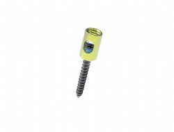 iliosacral screw